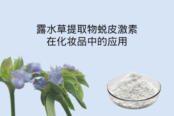 露水草提取物蜕皮激素在化妆品中的应用