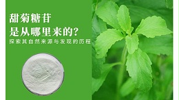 甜菊糖苷是从哪里来的？探索其自然来源与发现的历程