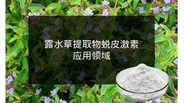 露水草提取物蜕皮激素应用领域