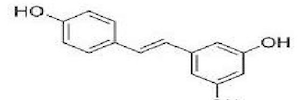 白藜芦醇 Rresveratrol