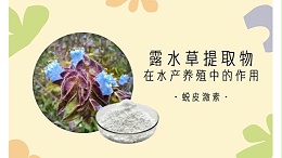 露水草提取物在水产养殖中的作用