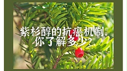 紫杉醇的抗癌机制，你了解多少？