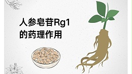 人参皂苷Rg1的药理作用