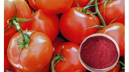 番茄红素的作用与功效