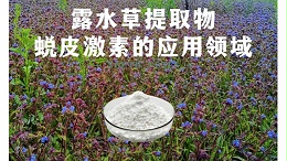 露水草提取物蜕皮激素的应用领域