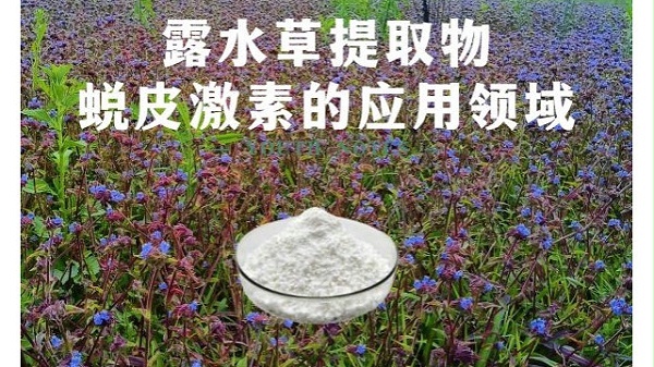 露水草提取物蜕皮激素的应用领域