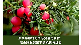 紫杉醇原料药国际贸易与合作：在全球化背景下的机遇与挑战