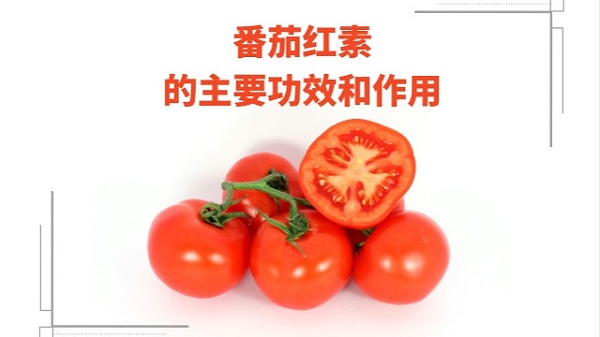 番茄红素的主要功效和作用