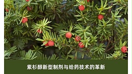 紫杉醇新型制剂与给药技术的革新