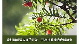 紫杉醇新适应症的开发：开启抗肿瘤治疗新篇章