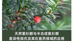 天然紫杉醇与半合成紫杉醇：差异性探究及其在医药领域的应用