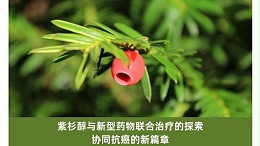 紫杉醇与新型药物联合治疗的探索：协同抗癌的新篇章