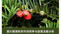 紫杉醇原料药市场竞争与政策法规分析