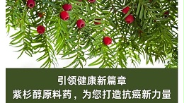 引领健康新篇章：紫杉醇原料药，为您打造抗癌新力量