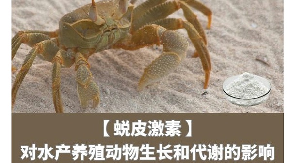 蜕皮激素对水产养殖动物生长和代谢的影响