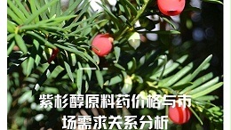 紫杉醇原料药价格与市场需求关系分析