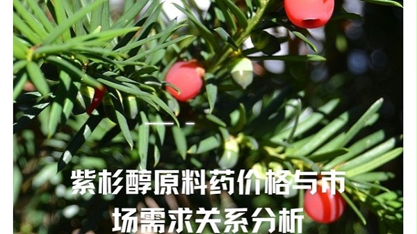 紫杉醇原料药价格与市场需求关系分析