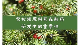 紫杉醇原料药在新药研发中的重要性