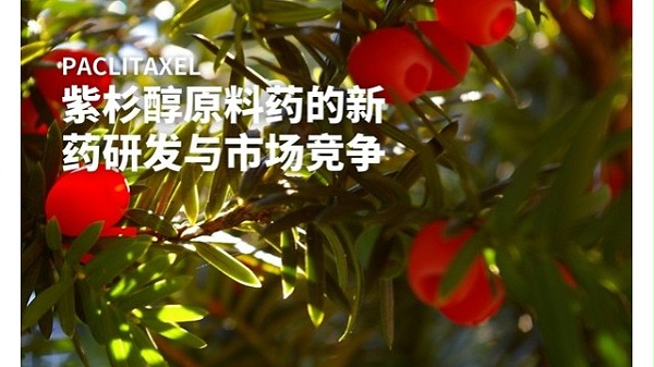 紫杉醇原料药的新药研发与市场竞争