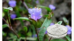 露水草提取物（蜕皮激素）在运动保健品中的应用