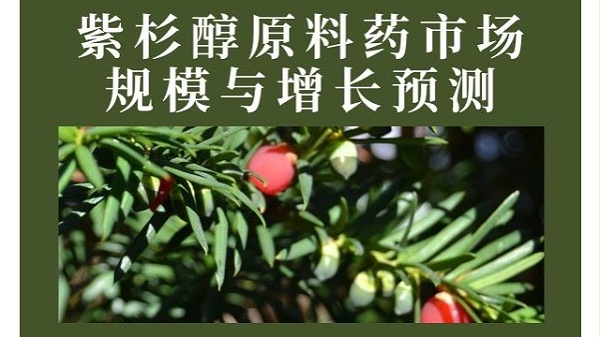 紫杉醇原料药市场规模与增长预测