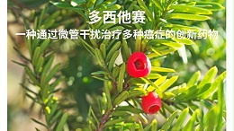 多西他赛：一种通过微管干扰治疗多种癌症的创新药物