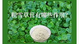 积雪草苷有哪些作用？你了解吗？