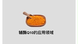 辅酶Q10的应用领域