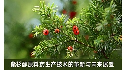 紫杉醇原料药生产技术的革新与未来展望