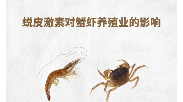 蜕皮激素及其对蟹虾养殖业的影响
