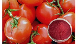 番茄红素的作用以及应用领域