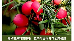 紫杉醇原料药市场：竞争与合作并存的新格局