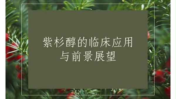 紫杉醇的临床应用与前景展望