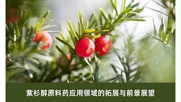 紫杉醇原料药应用领域的拓展与前景展望