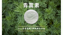 什么是青蒿素?青蒿素的作用